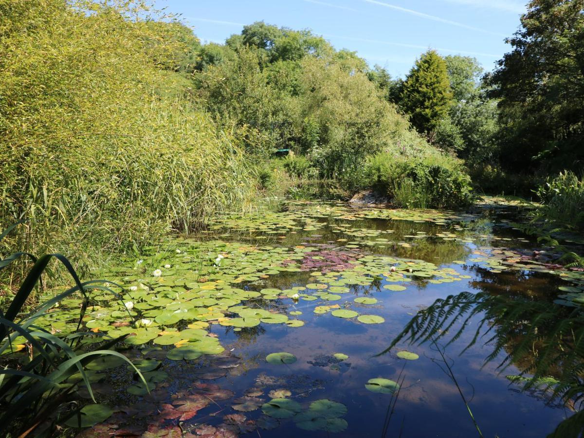 Pond Cottage ترورو المظهر الخارجي الصورة